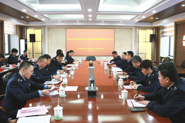 满洲里市税务局召开2025年度基层党...