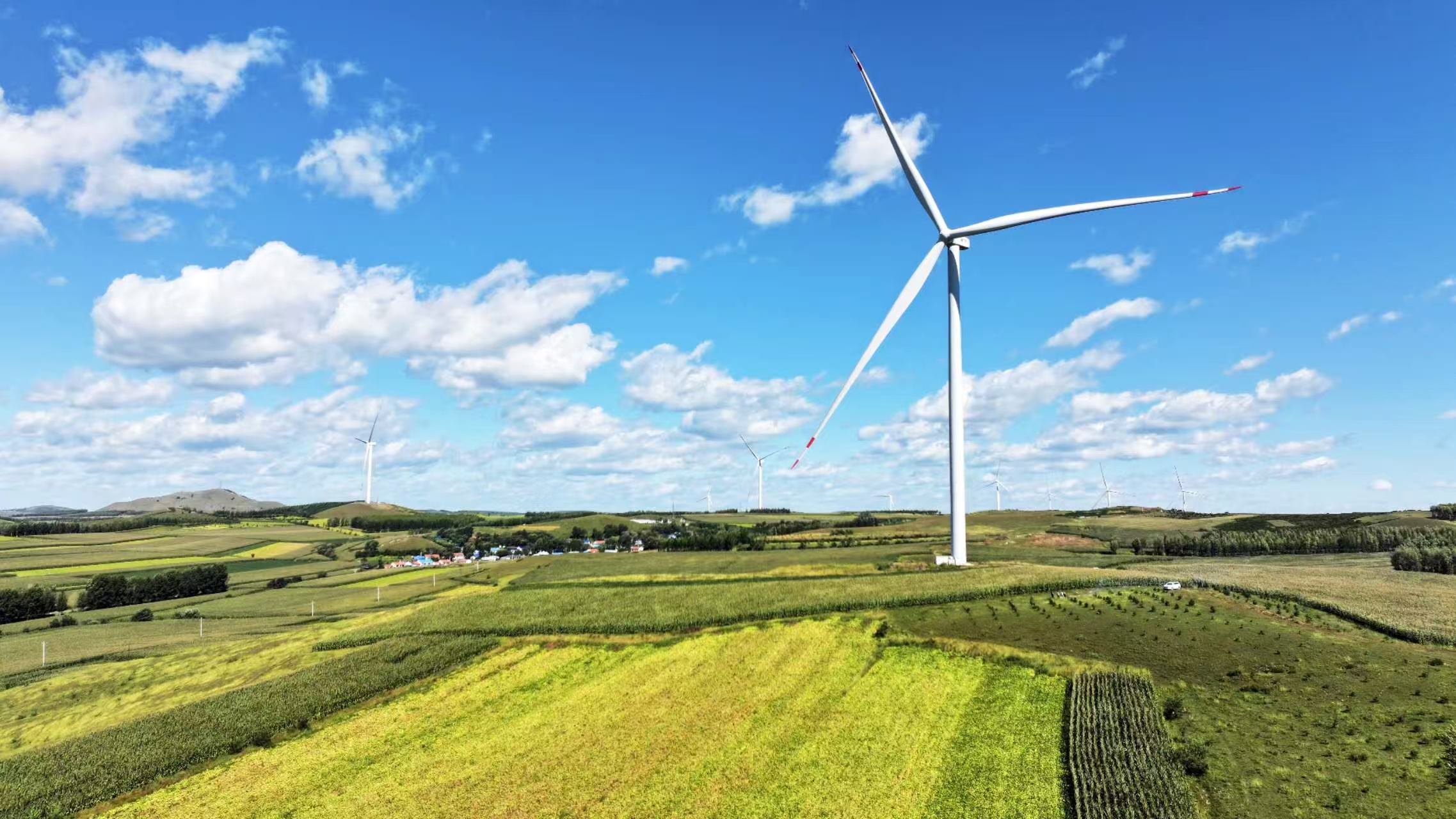 【中国税务报】青绿为笔 描绘塞上生态经济新图景